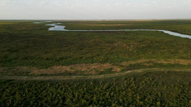 Drone footage of the Esteros del Ibera, a huge swampland and paradise for nature lovers & bird watchers in Argentina, South America - natural look