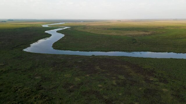 Drone footage of the Esteros del Ibera, a huge swampland and paradise for nature lovers & bird watchers in Argentina, South America - natural look