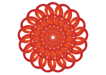 red flower isolated on white