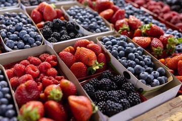 Casseaux de petits fruits, horizontal