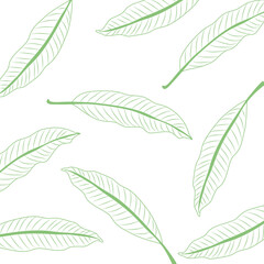 Green mango leaves line art on white background.Seamless leaf background, book cover template, natural backdrop, green leaf element. Close up. Plant wallpaper,Summer tree,