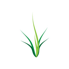 Green grass ilustration vector design flat illustration on white background.
