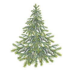 Watercolor green christmas tree isolated on white background. Forest evergreen fir or pine for sticker or card. Realistic hand-drawn clipart for new year celebration invite or wrapping wallpaper