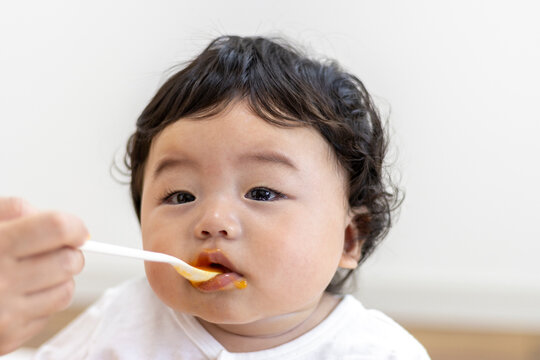 離乳食を食べる赤ちゃん（0歳、生後7カ月、日本人、男の子）