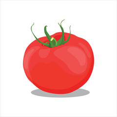 Vector illustration of set of different tomatoes isolated on background. Fruits or vegetables in cartoon flat style. Whole, sliced, quarter, half of a tomato fruit with branch and leaves for graphic