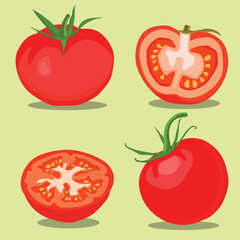 Vector illustration of set of different tomatoes isolated on background. Fruits or vegetables in cartoon flat style. Whole, sliced, quarter, half of a tomato fruit with branch and leaves for graphic