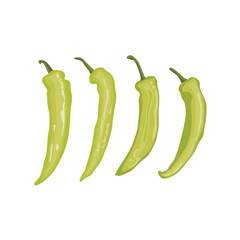 Vector illustration of green chili pepper realistic in flat cartoon style. Green hot chili pepper lay on white background with shadow for labels and logo design. Single or group chili pepper.