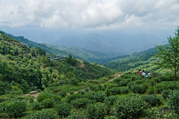 Fototapeta na wymiar landscape view of Darjeeling hill station on a bright sunny day