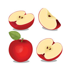 Vector illustration of isolated colored red apple whole, slice, cut on white background. Healthy food vegetarian fruit in cartoon style. Sliced ripe apple collection elements for design or infographic