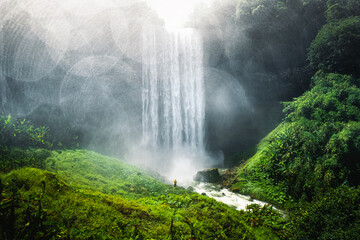 Waterfall in the forest in bolaven plateau Laos