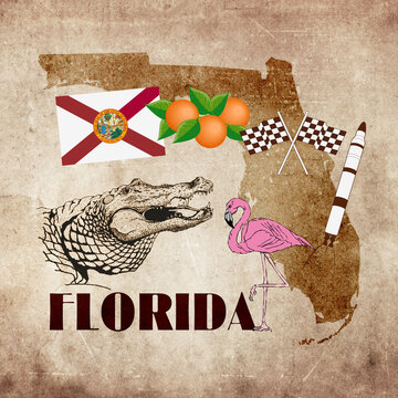 Florida illustrated vintage map