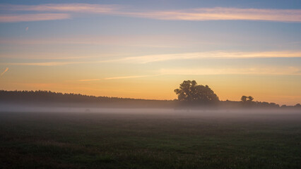 Morgennebel über einen Feld bei aufgehender Sonne