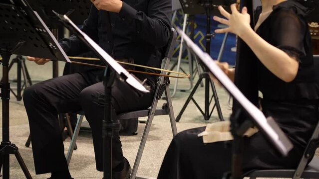young musicians is performing traditional musical folk instruments 