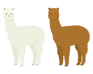 アルパカのイラスト