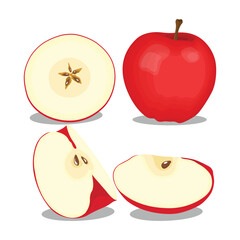 Vector illustration of isolated colored red apple whole, slice, cut on white background. Healthy food vegetarian fruit in cartoon style. Sliced ripe apple collection elements for design or infographic