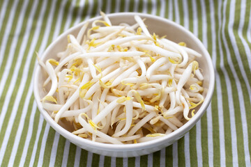 Bean sprouts on green background