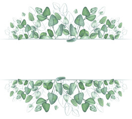 Eucalyptus. Branches of greenery. Botanical watercolor illustration. Horizontal banner for text. Elegant frame for the design of postcards, cards, textiles