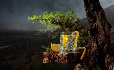 Cocktail gin-tonic with lemon in a crystal glass on an old board.