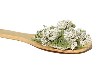 On a white background lies a wooden spoon with yarrow flowers.