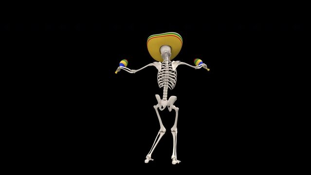 Day Of The Dead skeleton in sombrero dance with maracas - 3d render looped with alpha channel.
