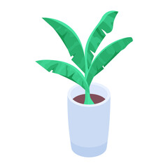 Beautiful isometric icon of indoor plant 