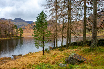 Fototapeta na wymiar Lake District in England and Blea Tarn landscape