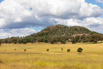 Obraz premium Rural landscape around Mudgee in New South Wales Australia