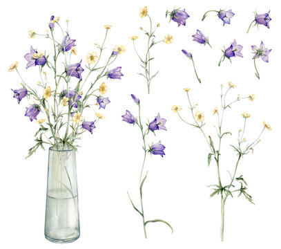 Clipart of meadow and forest yellow, violet flowers bluebell, buttercup in a glass vase. Watercolor hand painting illustration on isolate white background. For design stickers, wedding, home products