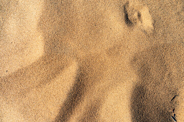 a desert sand in a close view