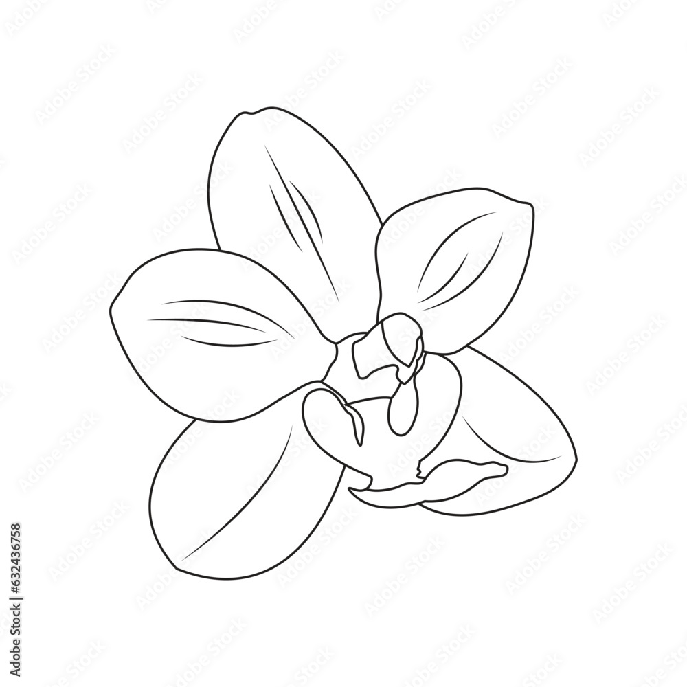 Wall mural Vector illustration of orchid line art. Orchid flower cartoon style. Logo, icon and coloring single flower. Black and white art elements for education and digital resources