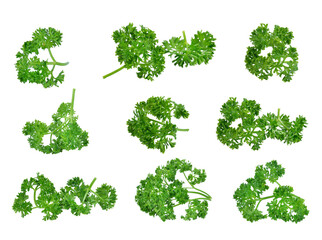 parsley transparent png