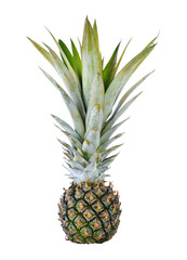  pineapple transparent png