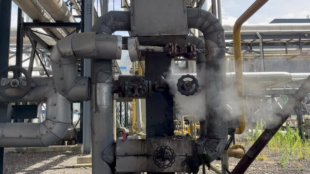 Broken steam valve is leaking steam from between its gasket