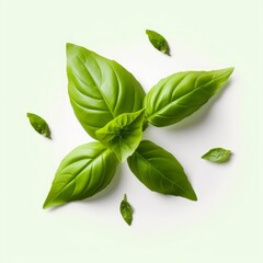 seasoning herb fresh leaves basil isolated on transperent background, Generative AI