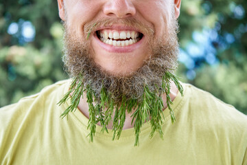 Smiling man beard and fragrant sprig of rosemary. Adult behaving childishly man in sunny meadow with excited expression on face up closeup - 632447969