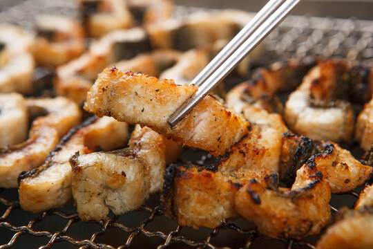 grill eel 