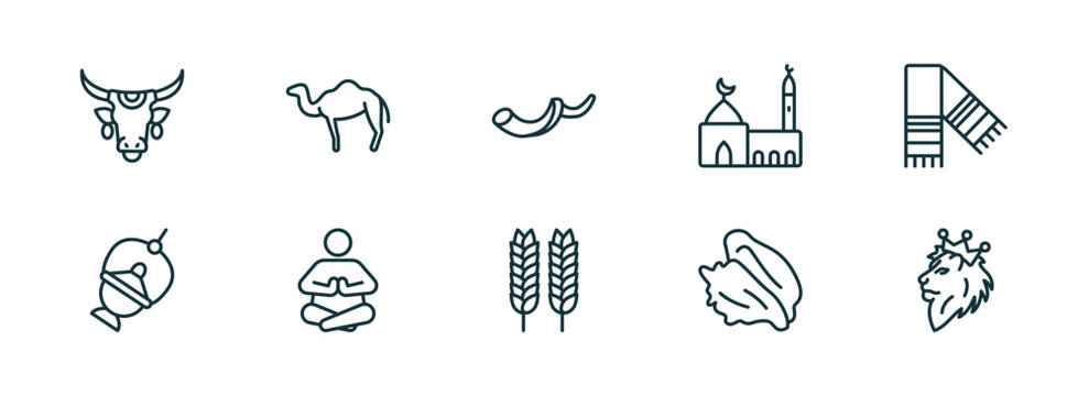 set of 10 linear icons from religion concept. outline icons such as sacred cow, dromedary, shofar, israel barley, conch shell, lion of judah vector