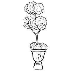 Bonsai simple minimalist line art black and white 
