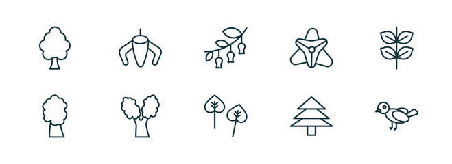 set of 10 linear icons from nature concept. outline icons such as american elm tree, ylang-ylang, hawthorn, poplar, pine tree, bird vector
