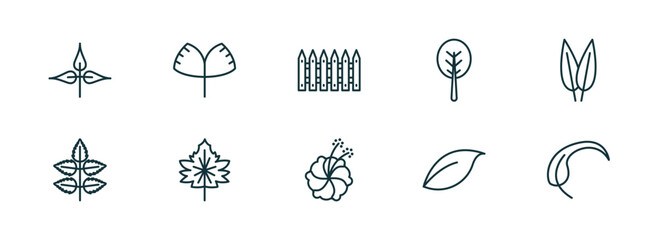 set of 10 linear icons from nature concept. outline icons such as pinnation, ginkgo, fences, hibiscus, orange leaf, falcate vector
