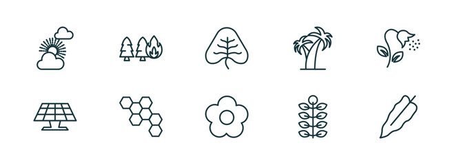 set of 10 linear icons from nature concept. outline icons such as sunny protic, pine tree on fire, cordate, season, american mountain ash, philodendron vector