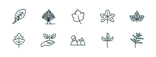 set of 10 linear icons from nature concept. outline icons such as natural energy, yucca, gooseberry leaf, mountain pse, cuspicate, cypress leaf vector