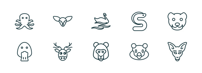 set of 10 linear icons from animals concept. outline icons such as octopus, fennec fox, swan, baboon, snigir, kangaroo vector