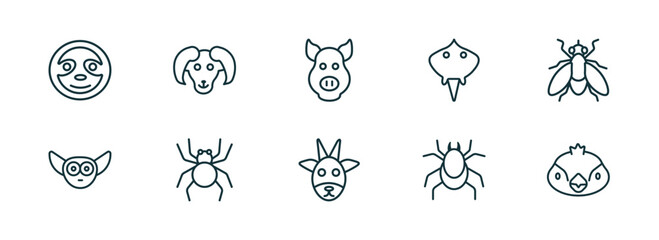 set of 10 linear icons from animals concept. outline icons such as sloth, male sheep, pig, goat, mite, sparrow vector