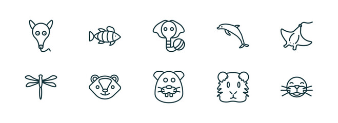 set of 10 linear icons from animals concept. outline icons such as ant eater, clown fish, elephant on a ball, beaver, guinea pig heag, seal vector