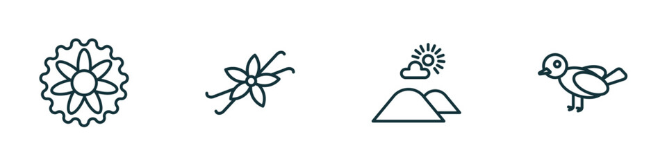 set of 4 linear icons from nature concept. outline icons included aster, vanilla, hills, bird vector