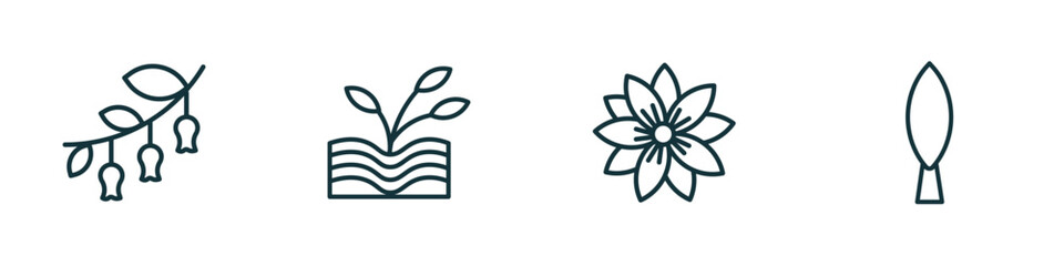 set of 4 linear icons from nature concept. outline icons included hawthorn, plant growing on book, hypericum, cypress vector