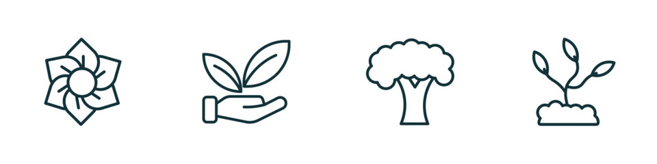 set of 4 linear icons from nature concept. outline icons included daffodil, save nature, beech, grow plant vector