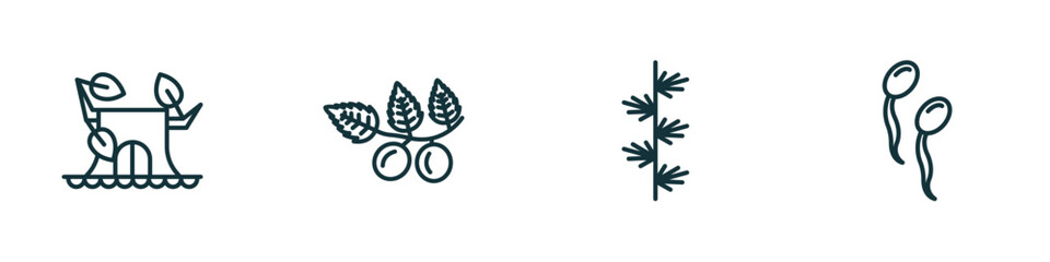 set of 4 linear icons from nature concept. outline icons included stump house, briar leaf, larch leaf, fertilize clinic vector