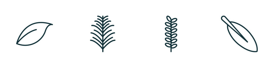set of 4 linear icons from nature concept. outline icons included orange leaf, yew leaf, acacia, magnolia leaf vector